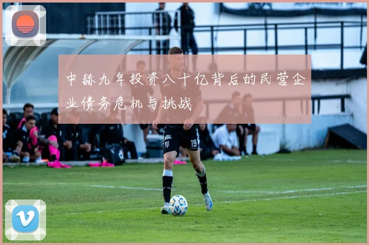 中赫九年投资八十亿背后的民营企业债务危机与挑战