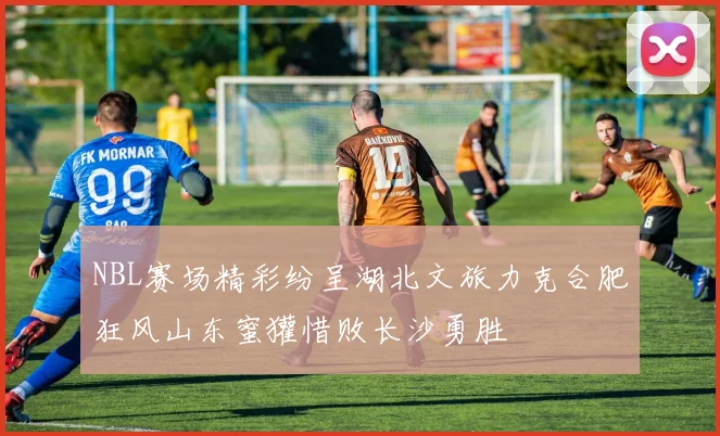 NBL赛场精彩纷呈湖北文旅力克合肥狂风山东蜜獾惜败长沙勇胜