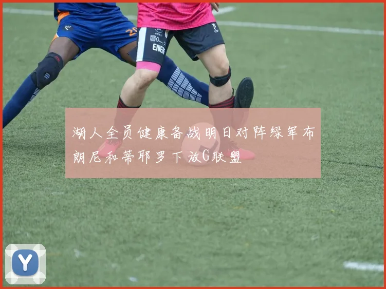 湖人全员健康备战明日对阵绿军布朗尼和蒂耶罗下放G联盟