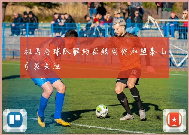 祖马与球队解约获赔或将加盟泰山引发关注